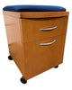 Used Mobile File Cabinets